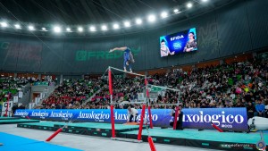 grand prix della ginnastica 0369 sfe06588 copia simone ferraro ph